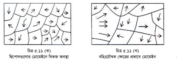 চৌম্বক পদার্থের শ্রেণিবিভাগ 5 চৌম্বক পদার্থের শ্রেণিবিভাগ 3 চৌম্বক পদার্থের শ্রেণিবিভাগ চৌম্বক পদার্থের শ্রেণিবিভাগ