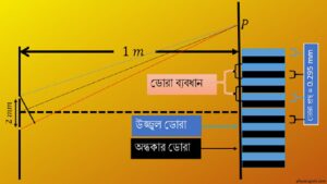 ব্যতিচার ডোরার প্রস্থ 